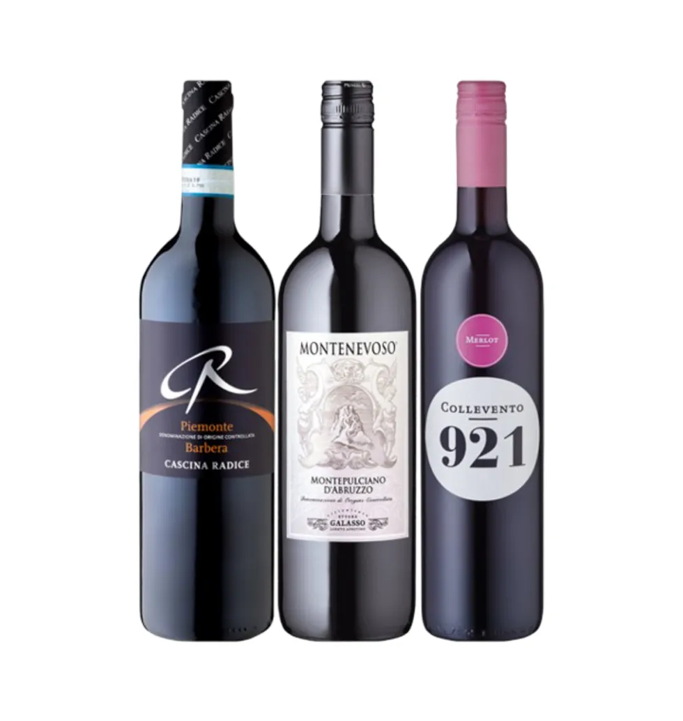 Italian Wine Expedition: Red Wine Selection