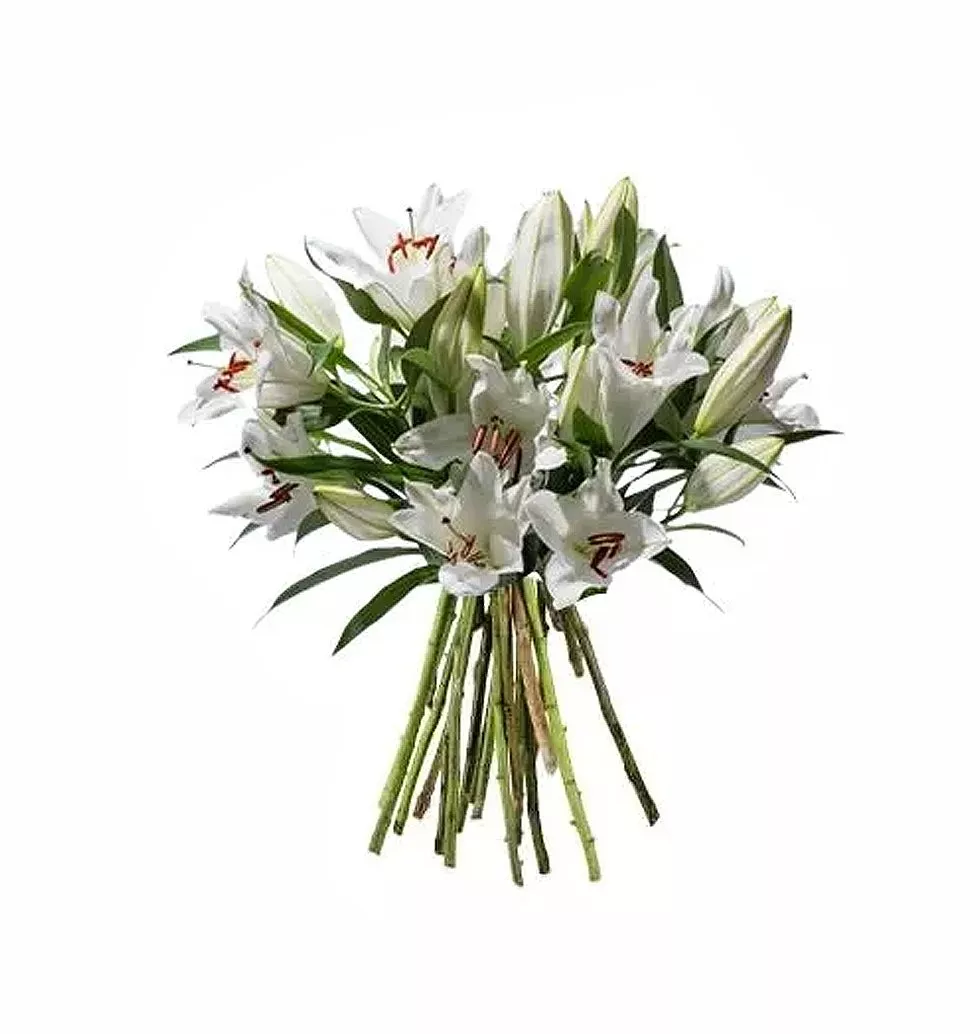 Elegant White Lily Elegance