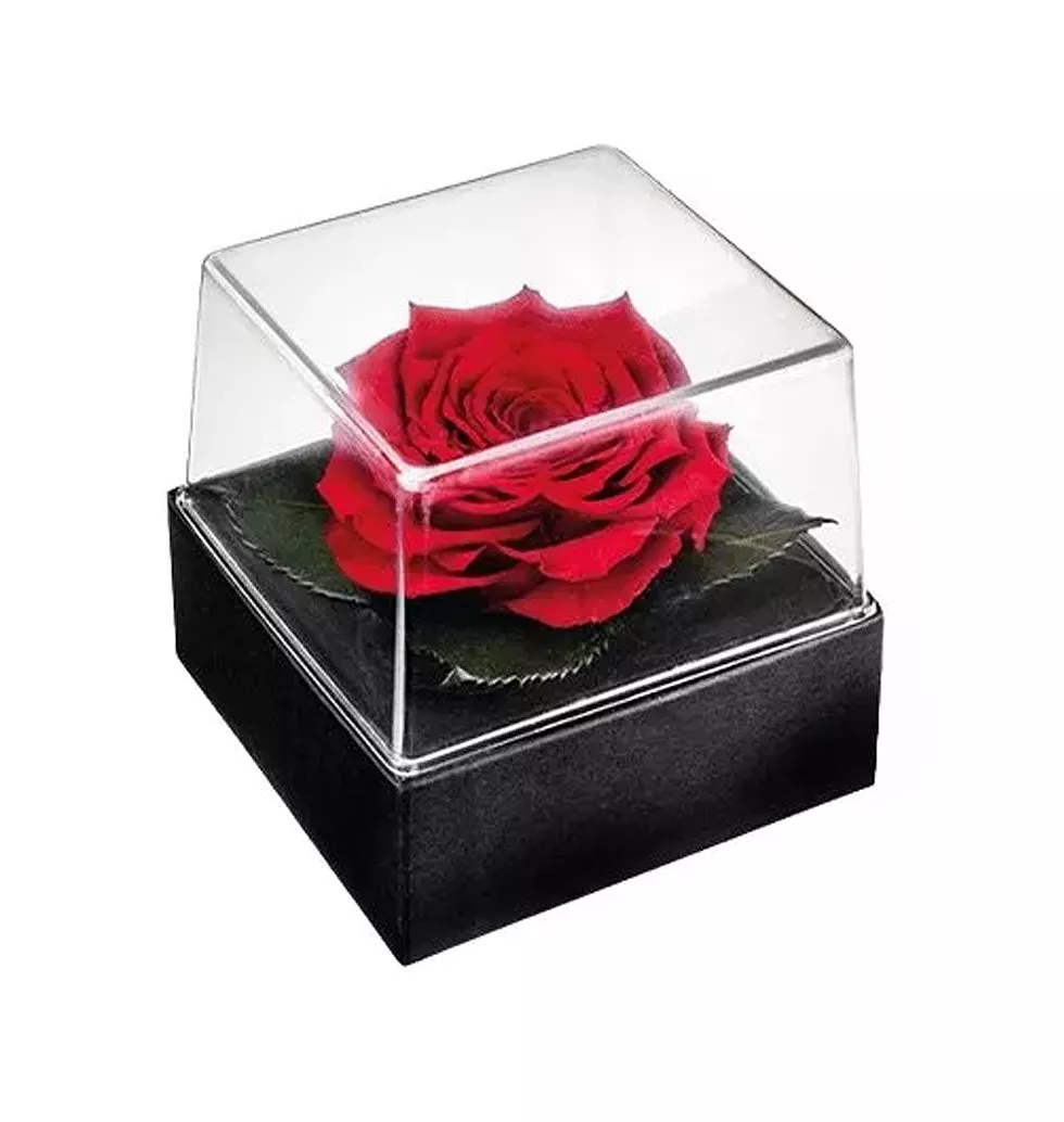 Petal of Love Keepsake