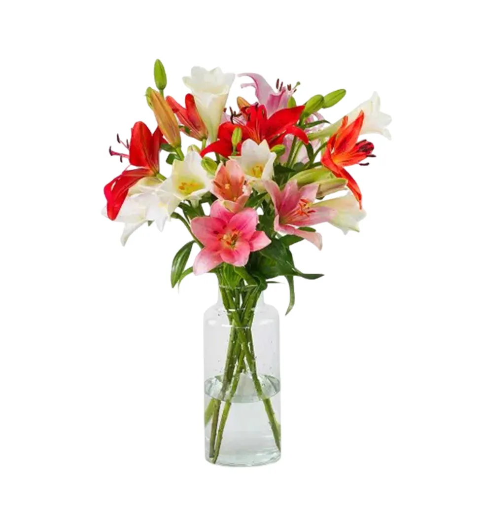 Lily Harmony Arrangements