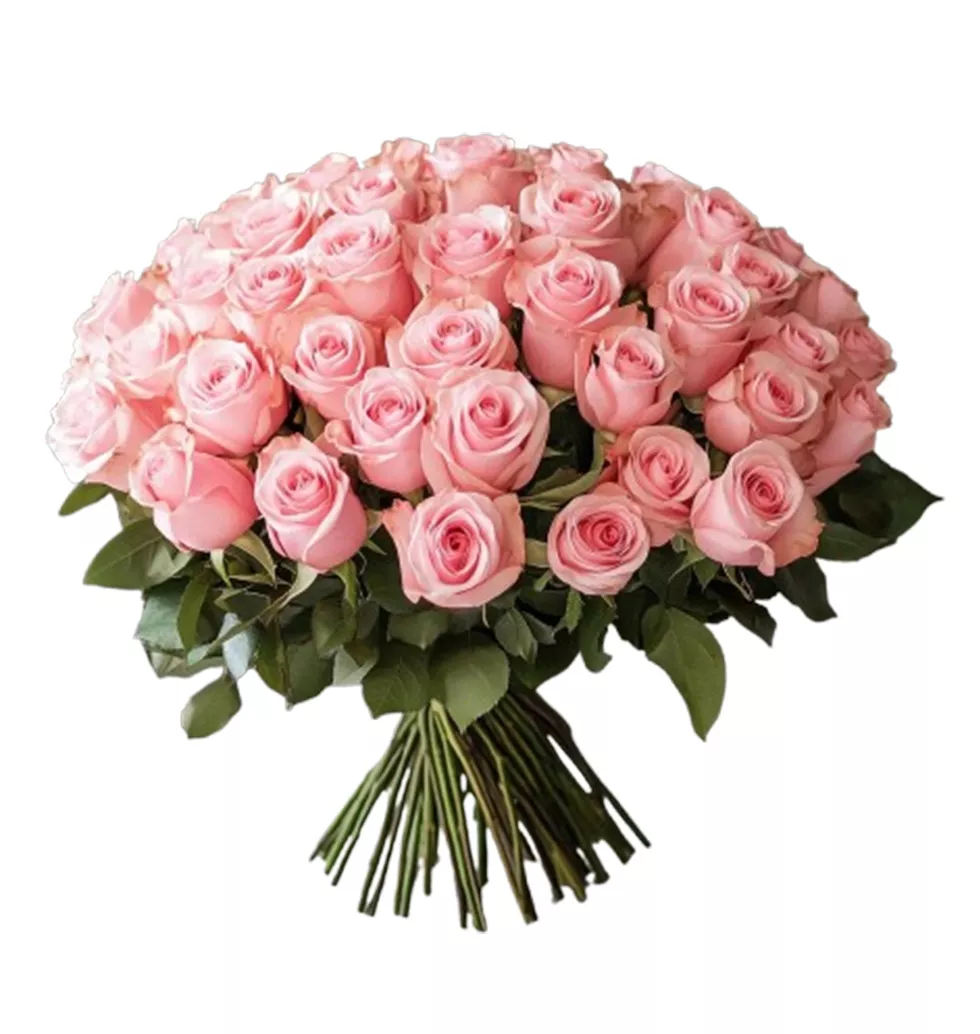 Elegant Rose Embrace 50 Bouquet