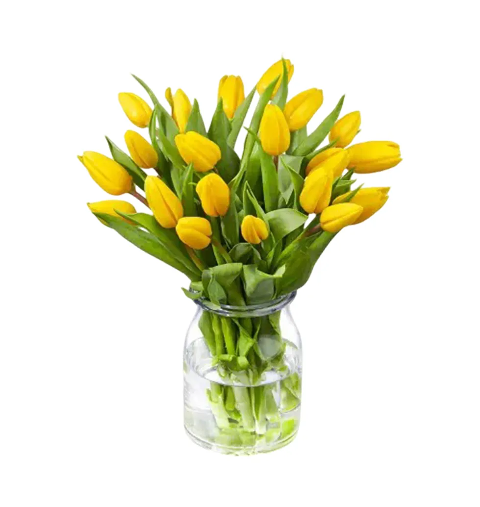 Sunny Tulip Delight